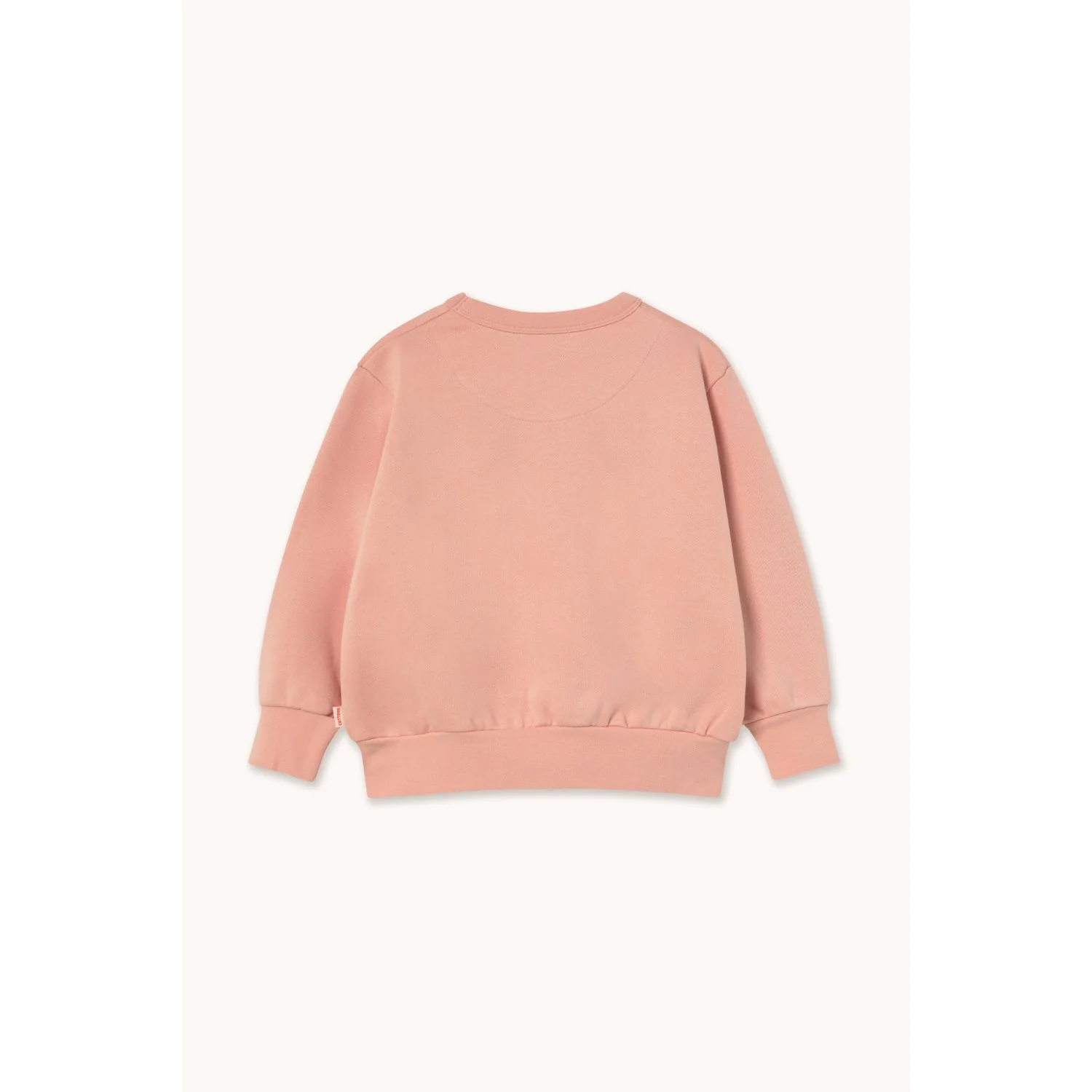 TinyCottons Wild Rose Walk Graphic Sweatshirt - Image 3