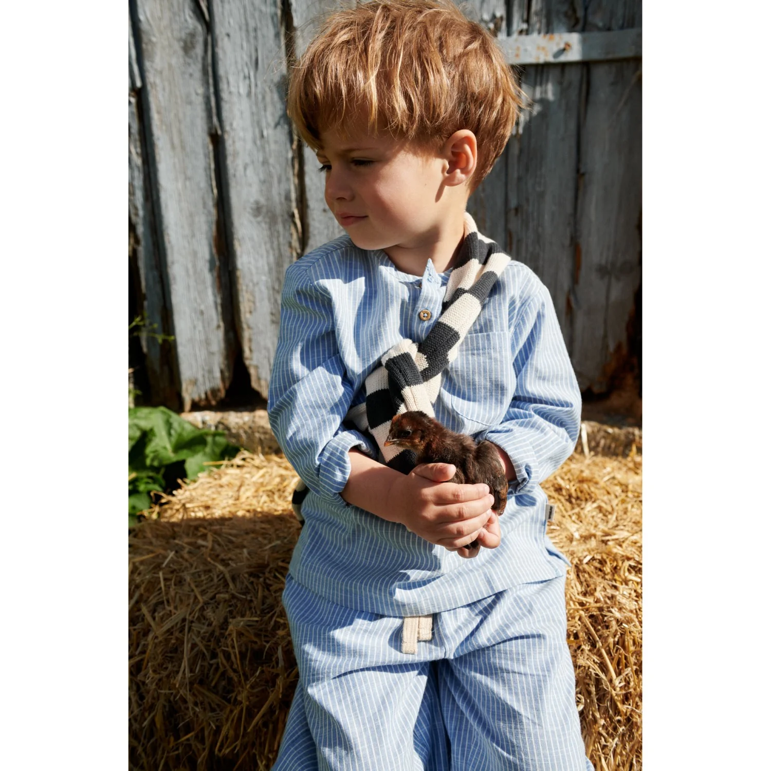 Wheat Blue Stripe Shirt Bjørk - Image 2