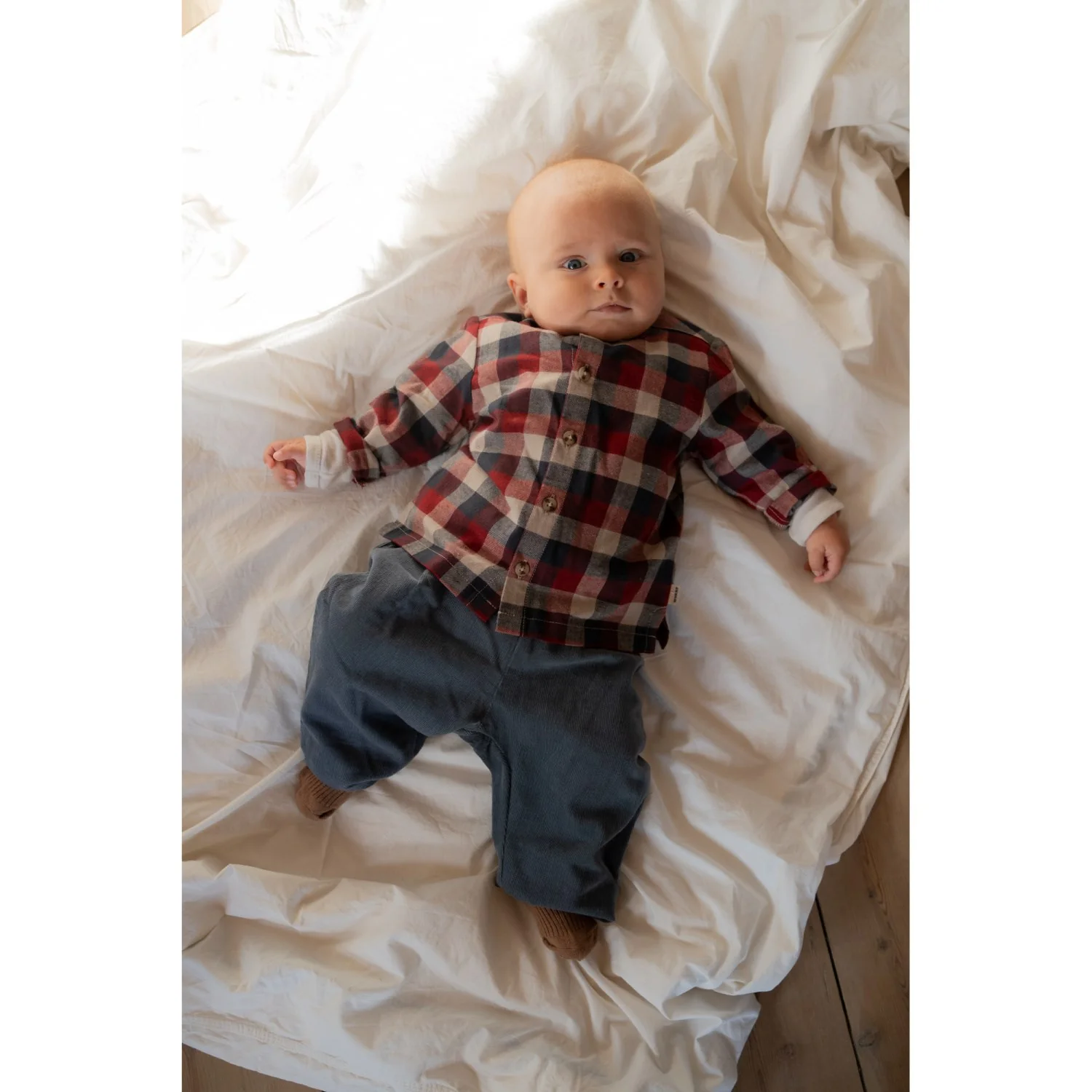 Wheat Red Blue Check Shirt Shelby - Image 3