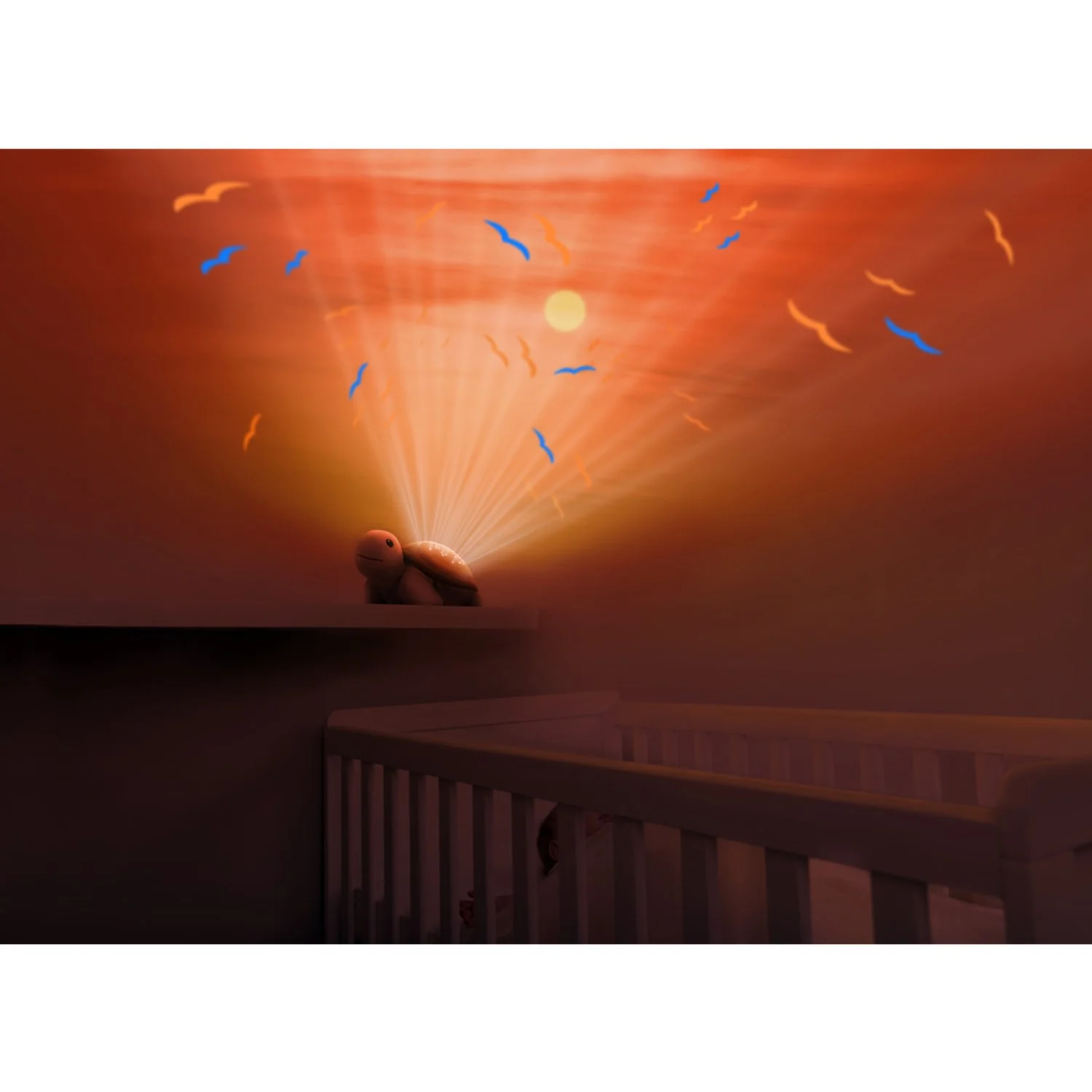 Zazu Brown Tim The Turtle Projector - Image 3